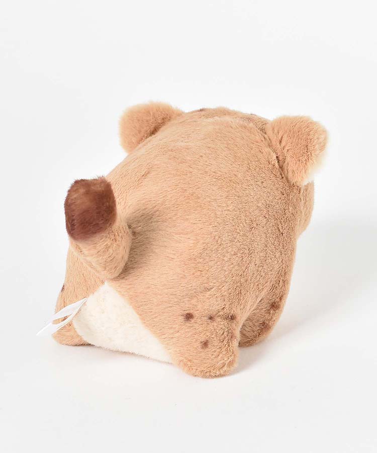 Bleu Bleuet（ブルーブルーエ）