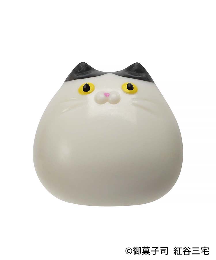 紅谷三宅ねこたまバスボール