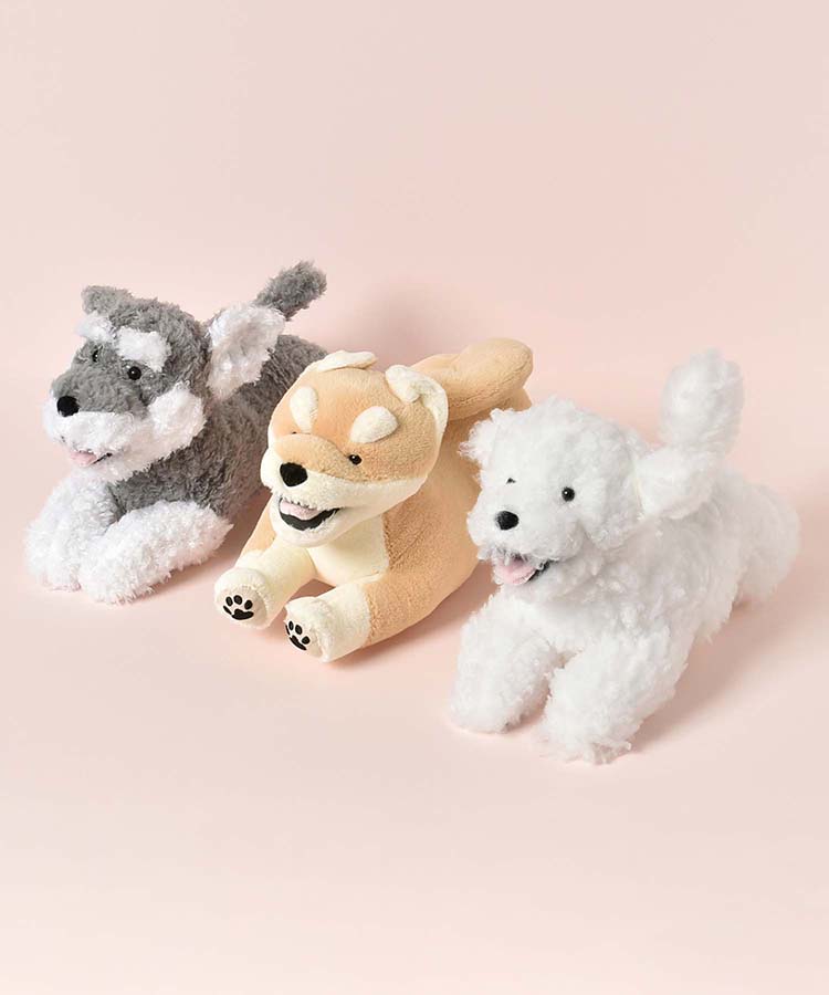 フラッピーウェルカムクッション