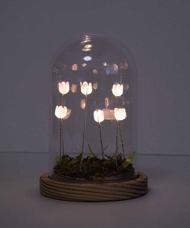 【WEB限定】LUMOチューリップガラスドームS