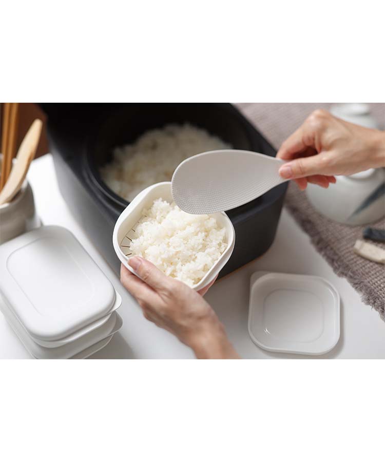 極 冷凍ごはん容器2個入り