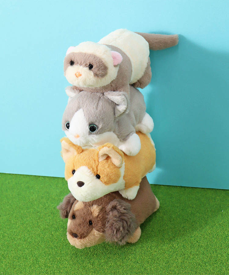 ショートレッグぽちゃ