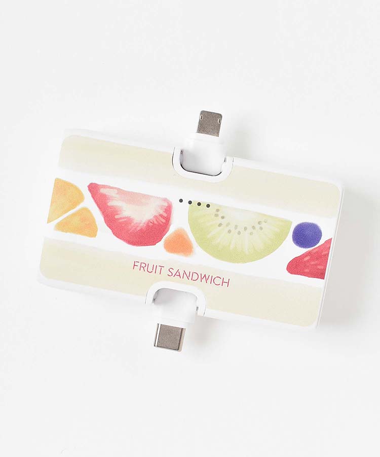 【WEB限定】コネクタ付きリチウム充電器4000mAh