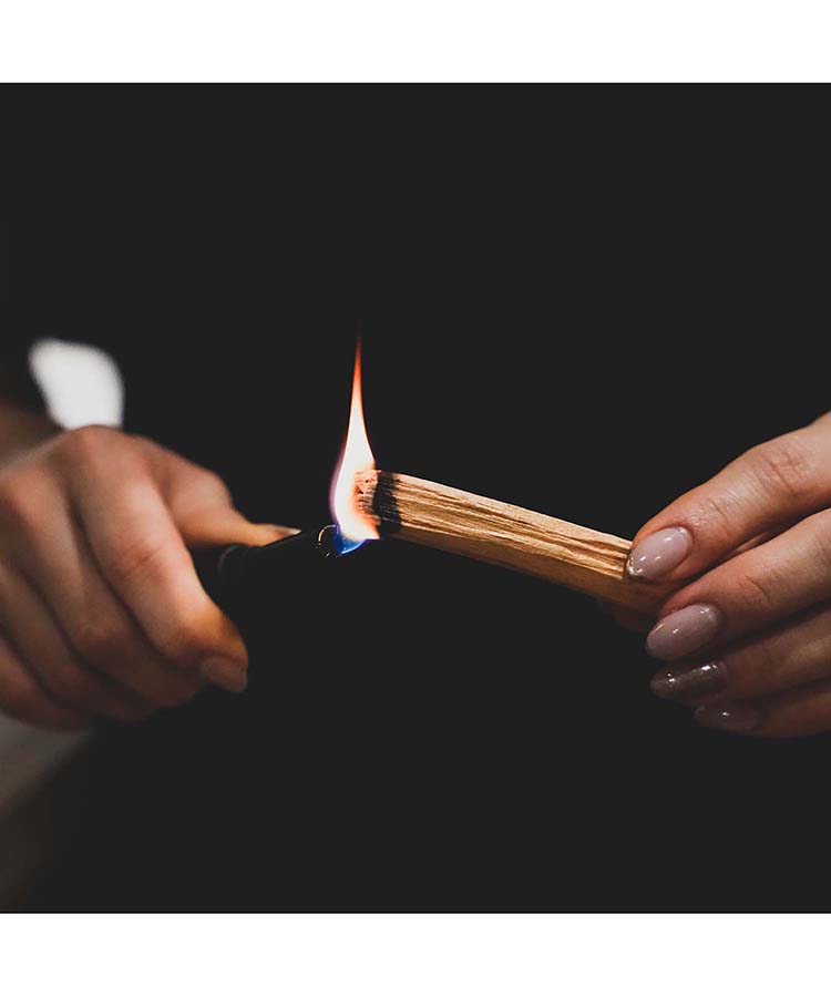 Positive Energy Palo Santoフラワーボトルクリスマス