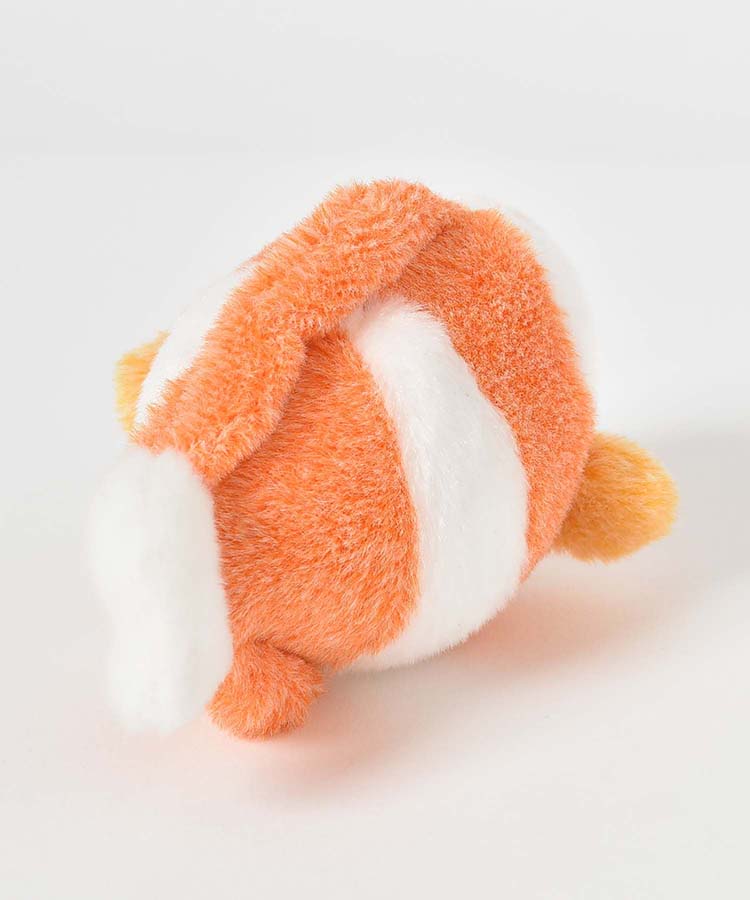 海中散歩ぽちゃまる