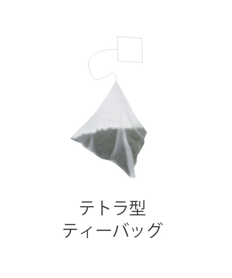 ロンヌヌースティー