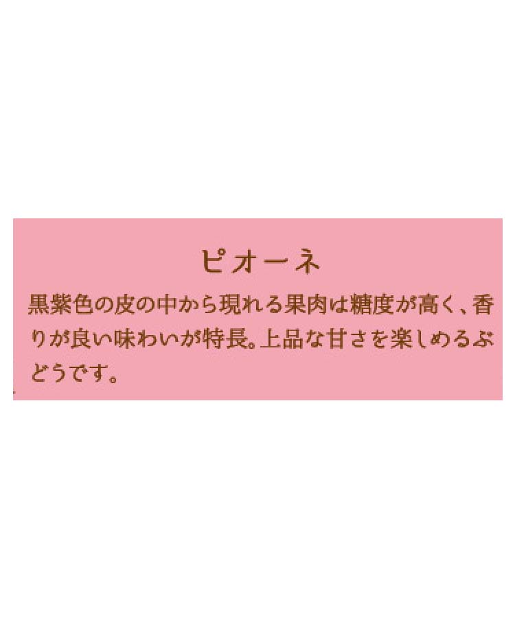 ホシフルーツ凍らせて食べるシャーベット彩果しずく