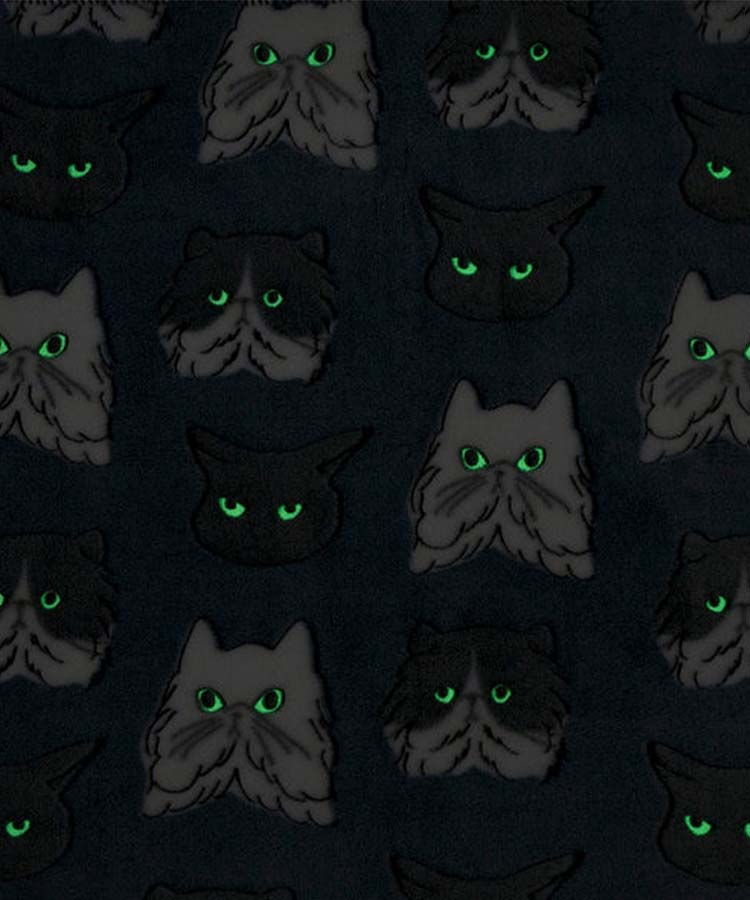 【WEB限定】ファニーブランケットL