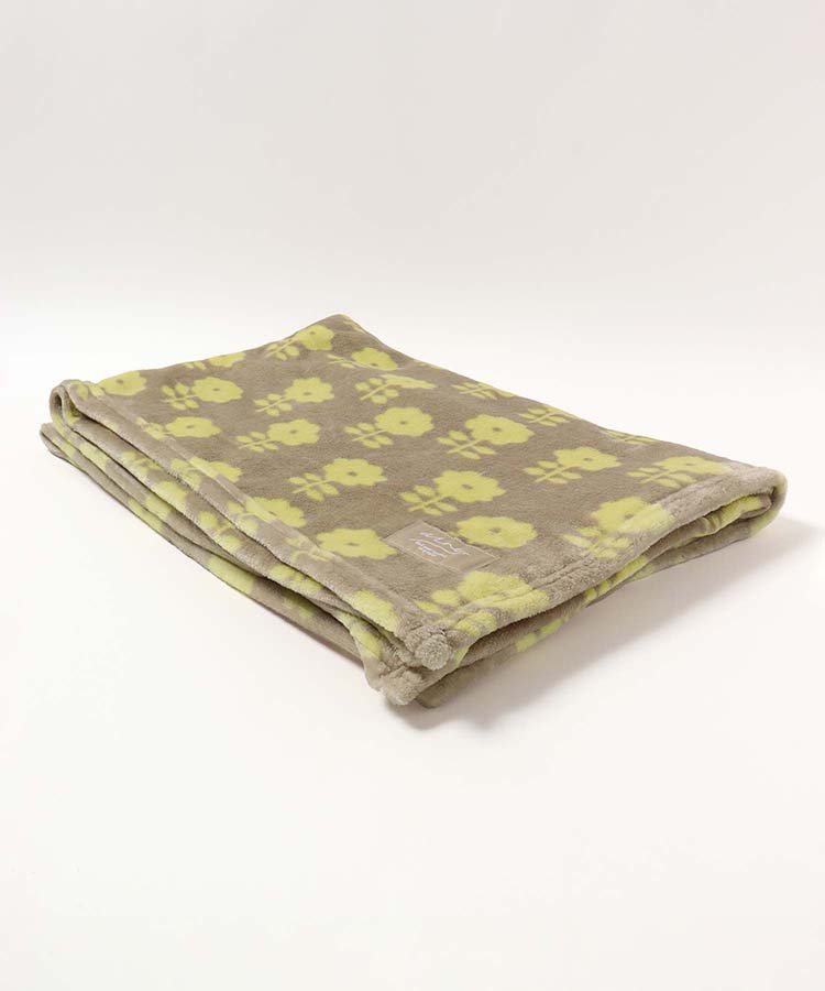 アルネブランケット