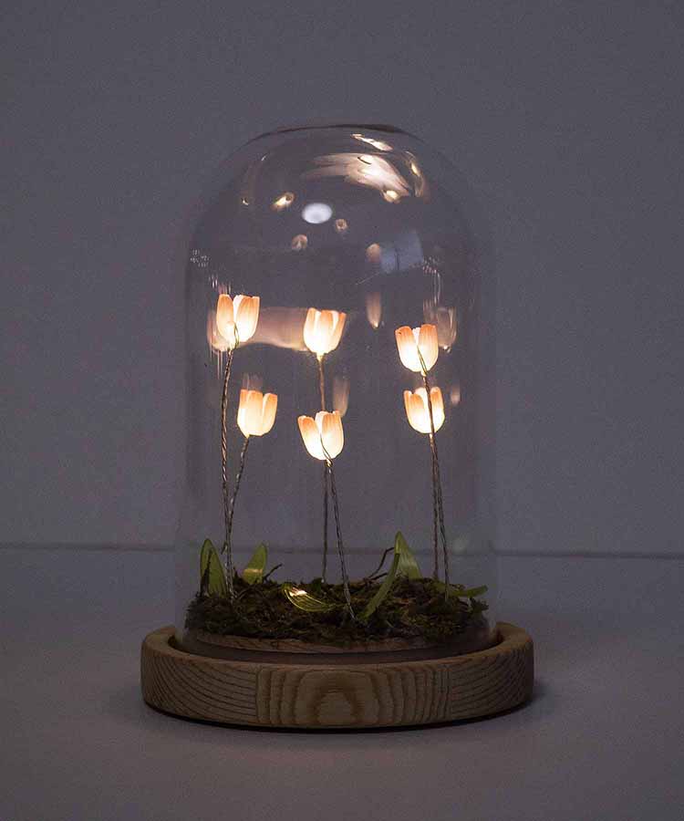 【WEB限定】LUMOチューリップガラスドームS