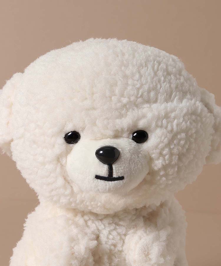 【WEB限定】マイムフレンズプラス