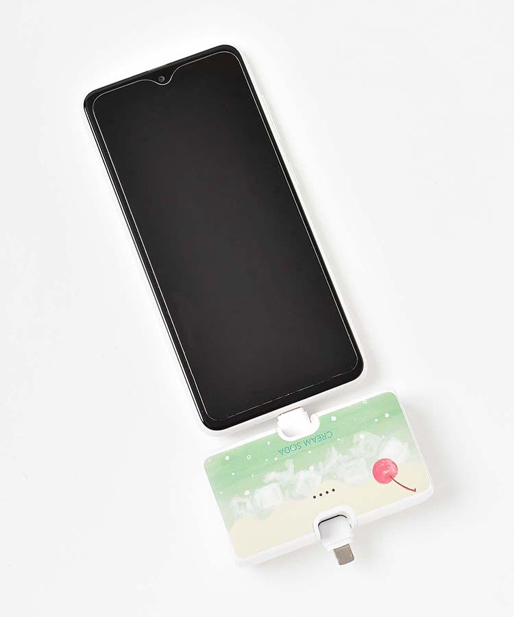 【WEB限定】コネクタ付きリチウム充電器4000mAh