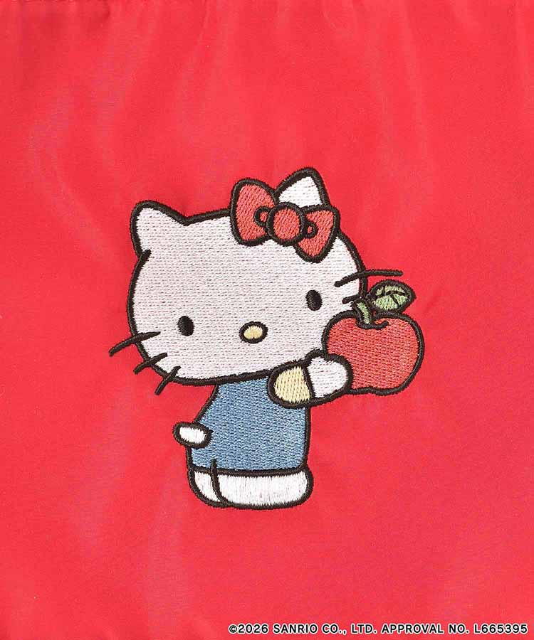 【WEB予約 3/4～順次発送】SANRIO CHARACTERS BASIC刺繍巾着