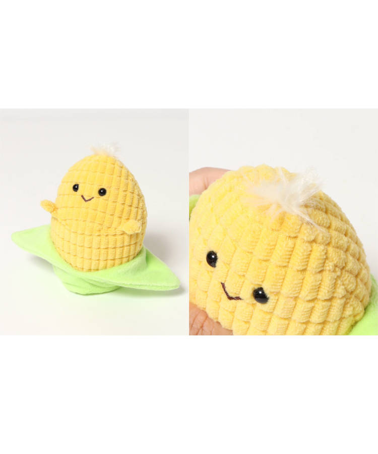 【WEB予約 8/6～順次発送】夏のもぎたてぽちゃ