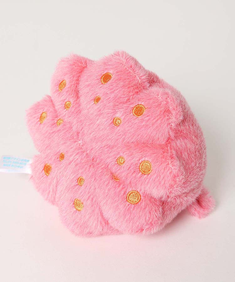 海中散歩ぽちゃまる