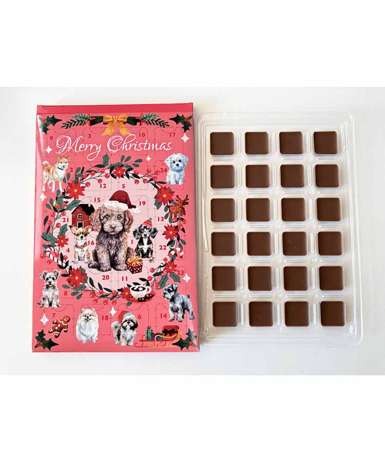 エウレカ アドベントA5