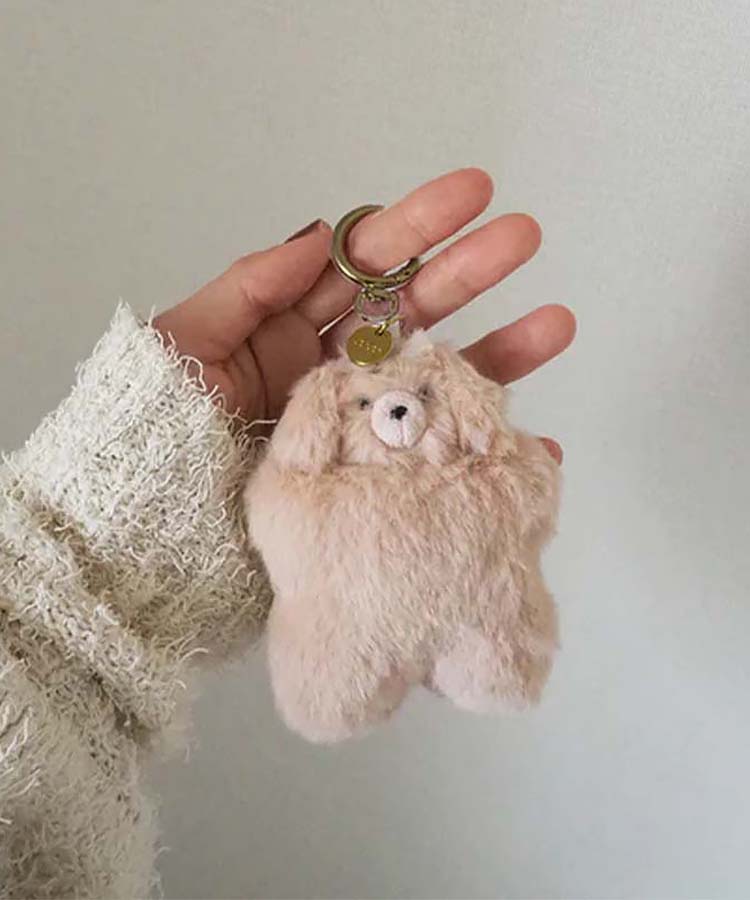 FTテノリチャーム