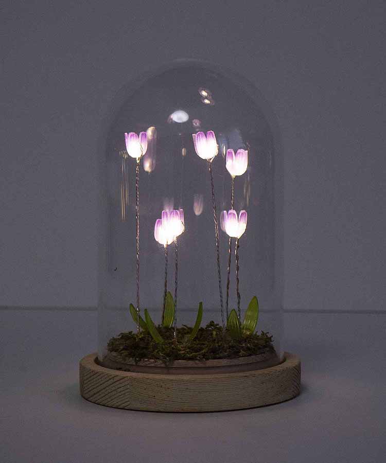 【WEB限定】LUMOチューリップガラスドームS