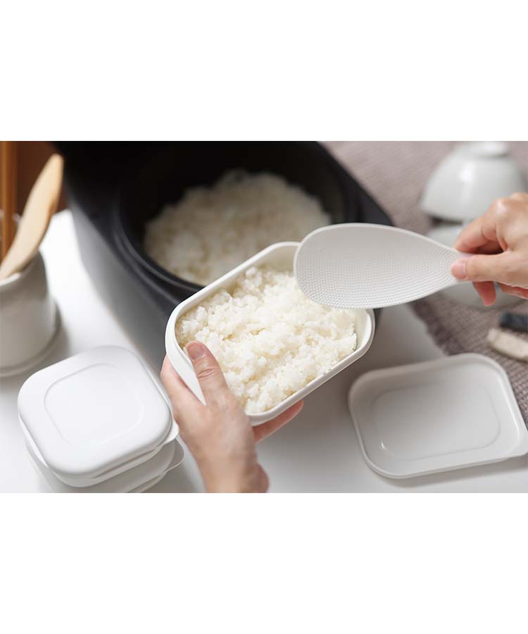 極 冷凍ごはん容器大2個入り