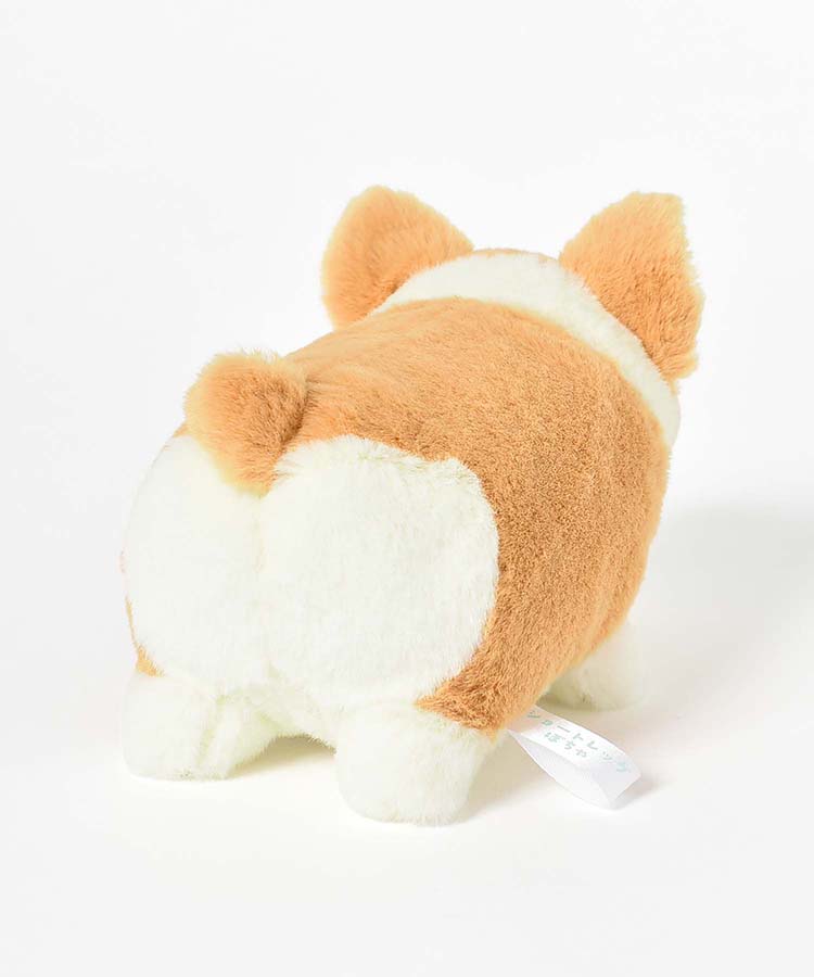 ショートレッグぽちゃ