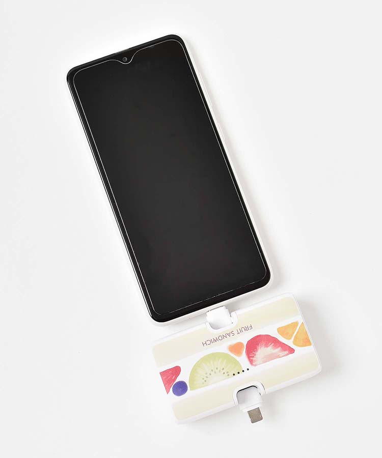 【WEB限定】コネクタ付きリチウム充電器4000mAh