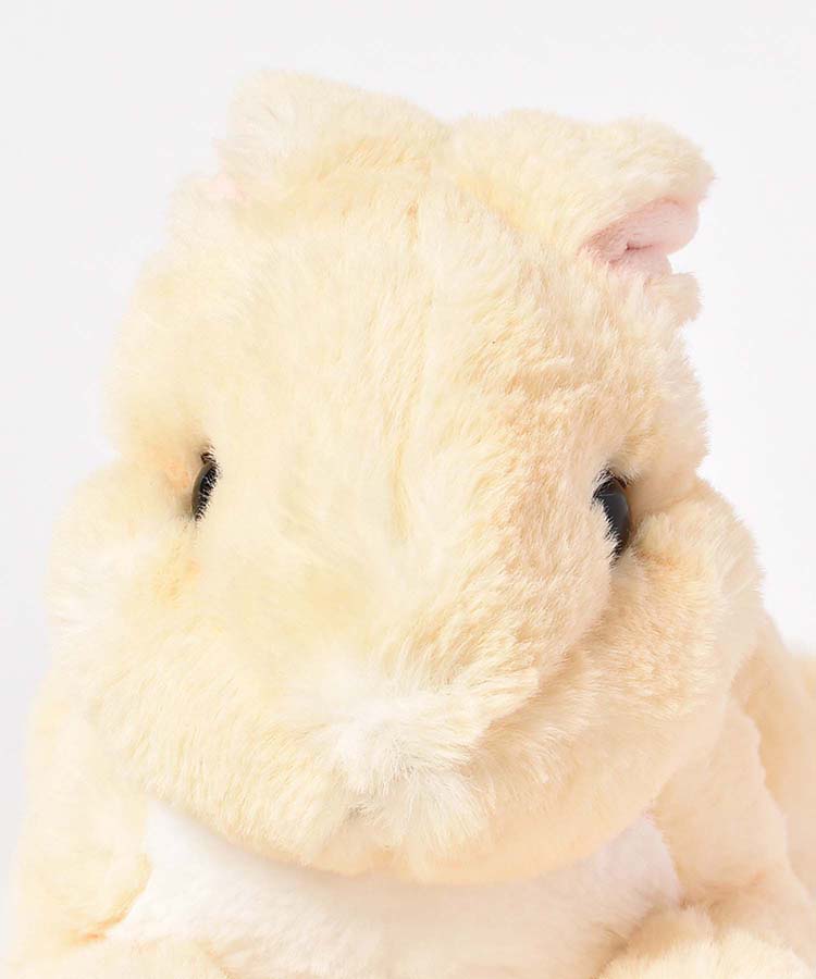 ひざうさぎ
