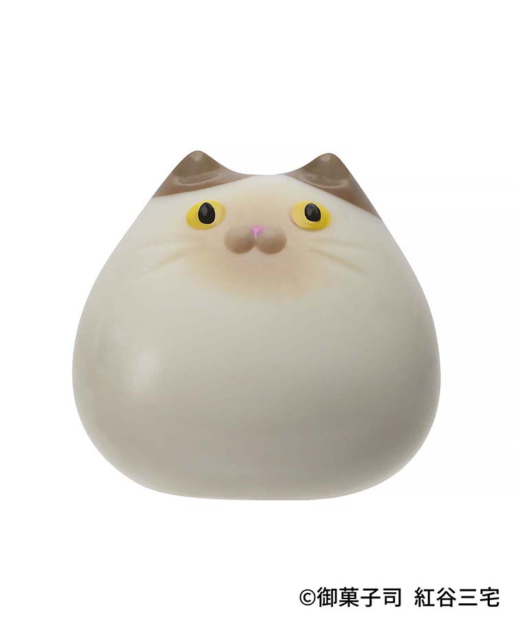 紅谷三宅ねこたまバスボール