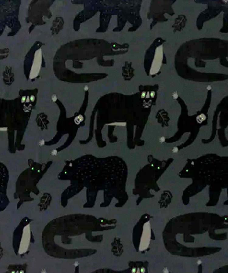 【WEB限定】ファニーブランケットL