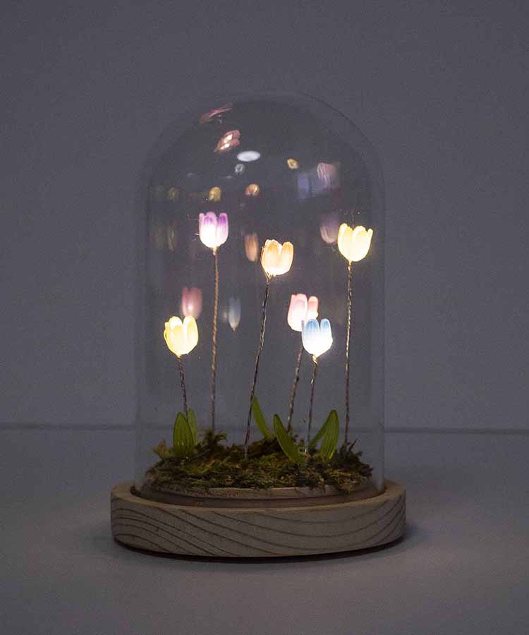 【WEB限定】LUMOチューリップガラスドームS