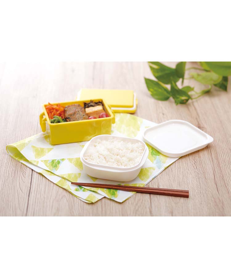 極 冷凍ごはん容器2個入り