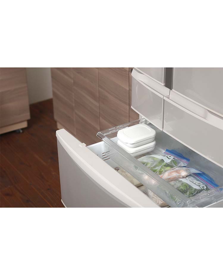 極 冷凍ごはん容器大2個入り