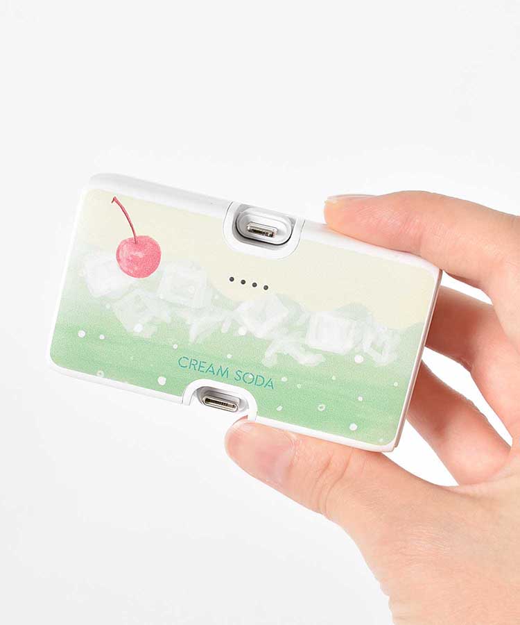 【WEB限定】コネクタ付きリチウム充電器4000mAh