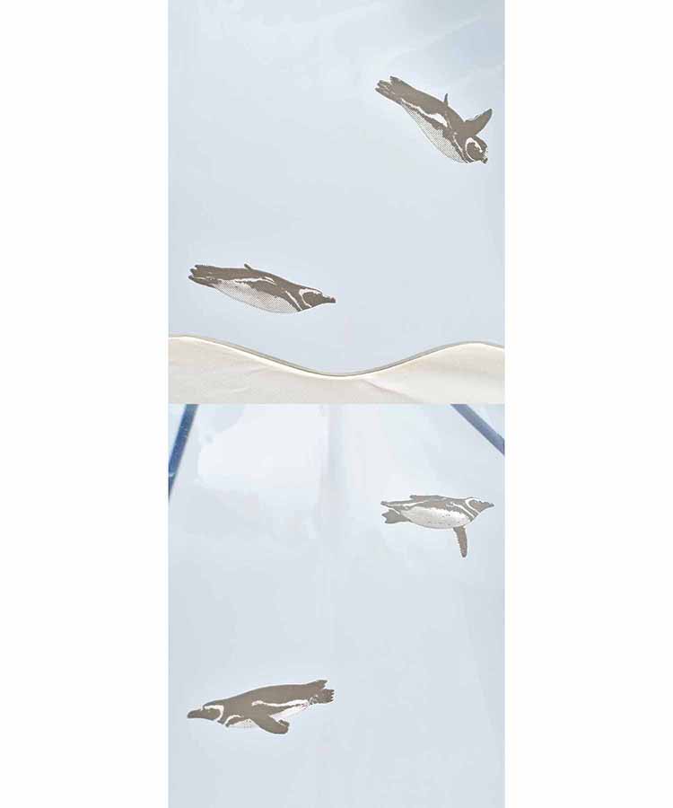 [ビニール傘]すみだ水族館×Wpc. スイミングペンギンアンブレラ