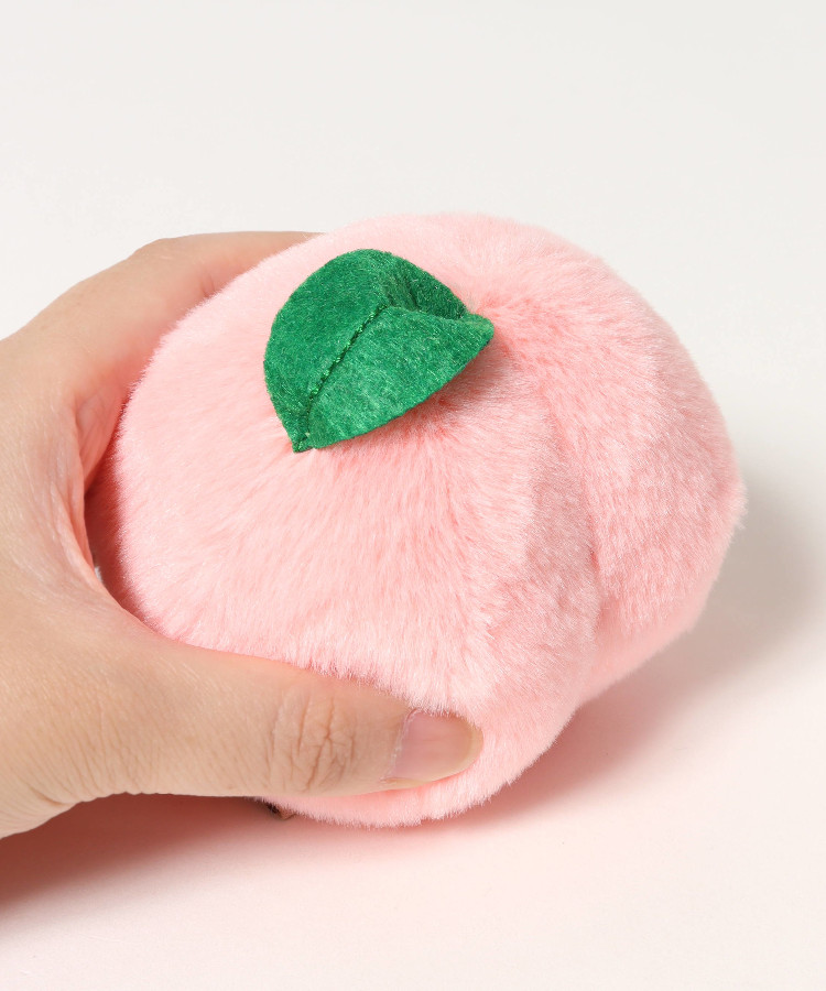 【WEB予約 8/6～順次発送】夏のもぎたてぽちゃ