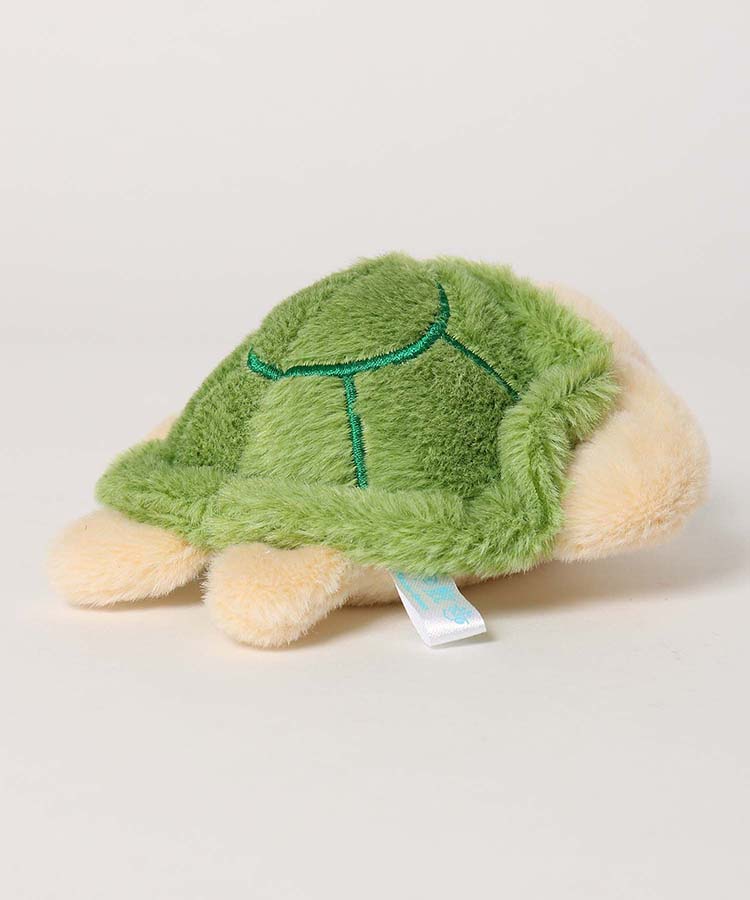 海中散歩ぽちゃまる