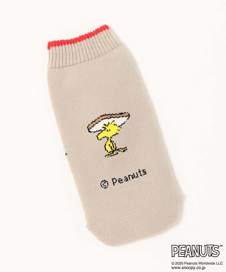 BOTOCO PEANUTS
