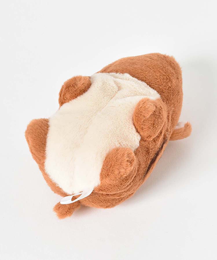 ぽちゃベビー陸のいきもの