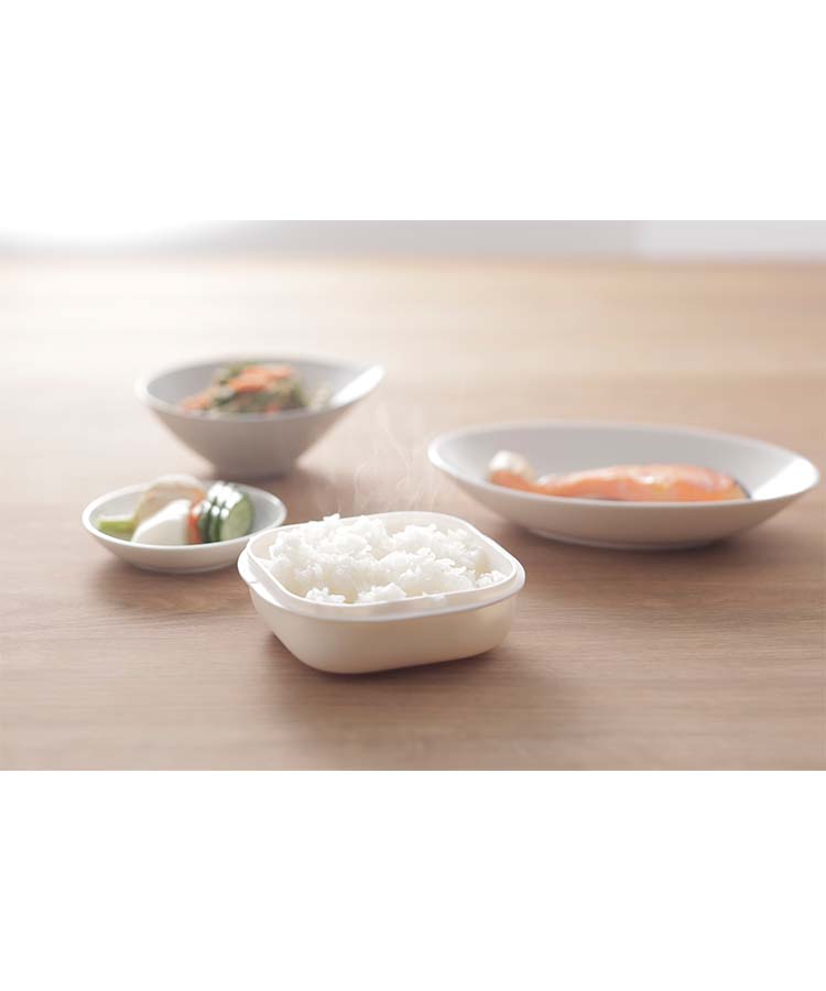 極 冷凍ごはん容器2個入り