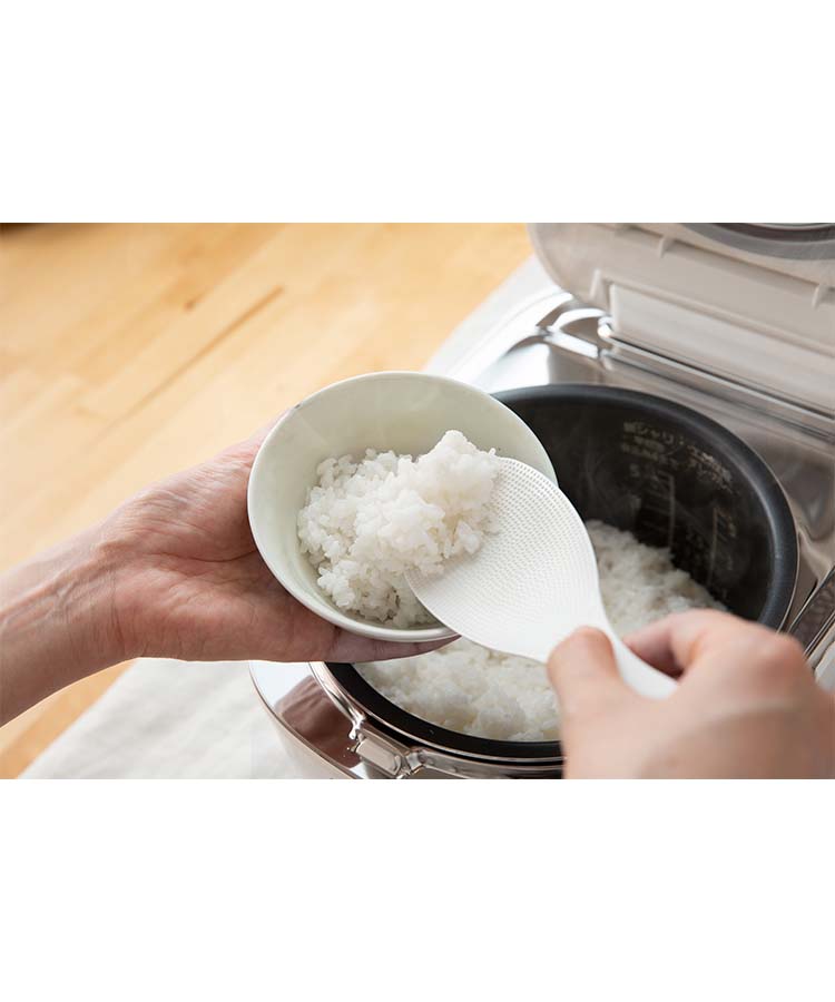 極 しゃもじノーマル