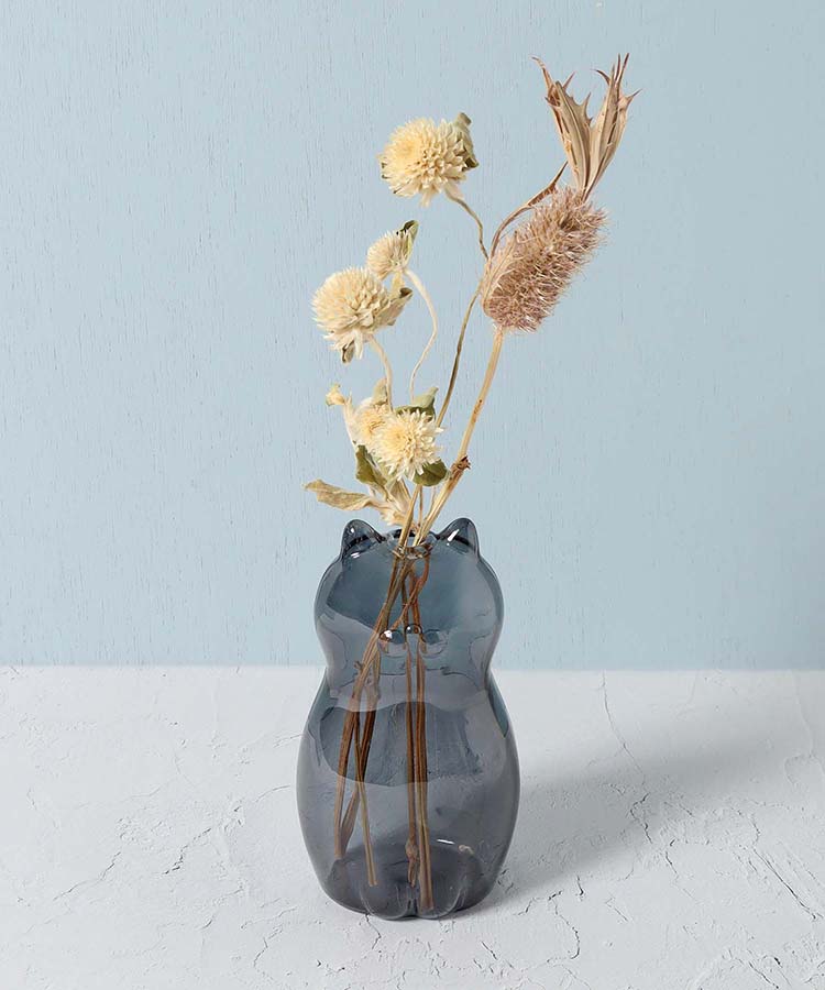 グラスキャットベース