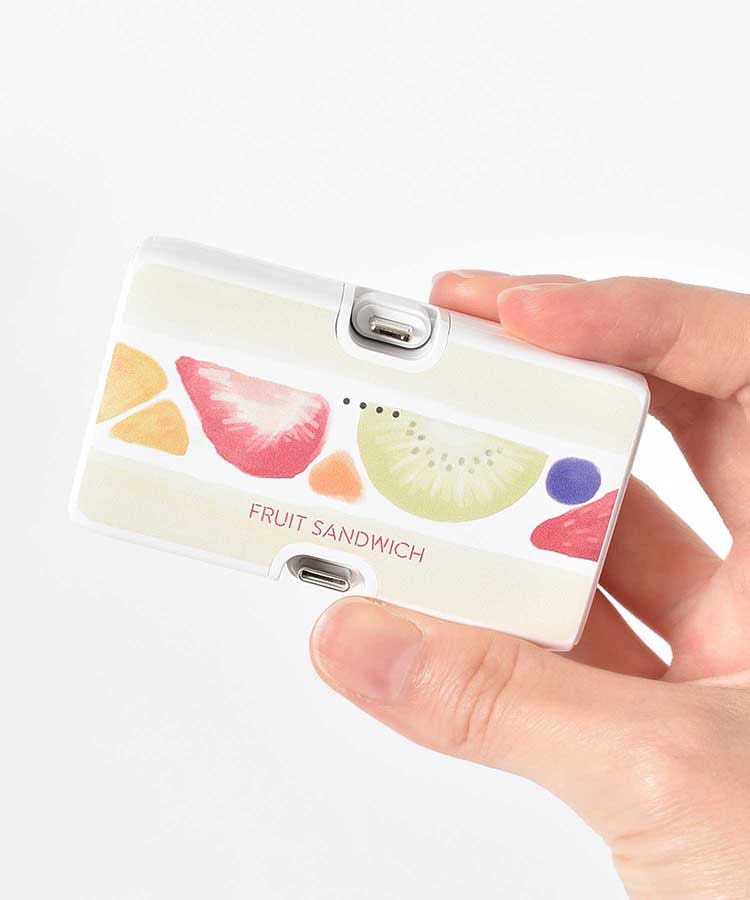 【WEB限定】コネクタ付きリチウム充電器4000mAh