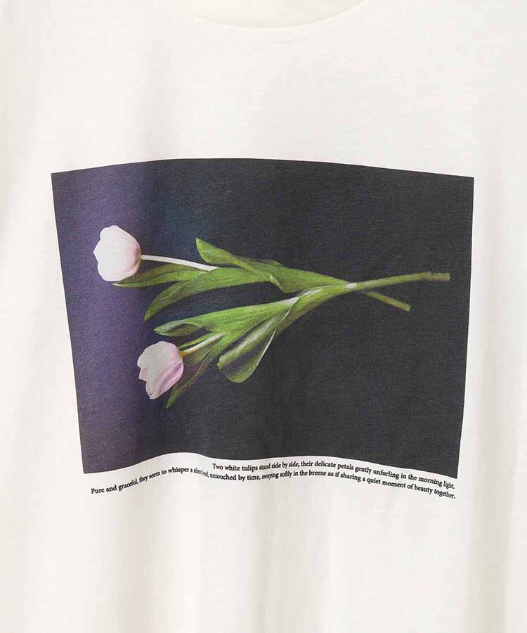 フォトグラフTシャツ