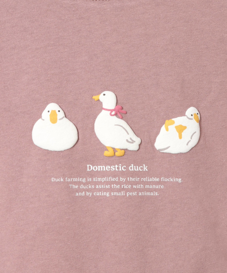 ≪SALE≫アニマルぷっくりTシャツ