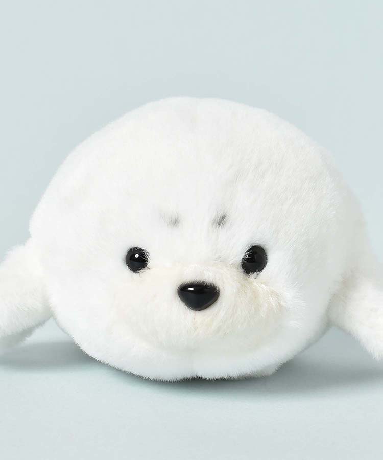 ぽちゃベビー海のいきもの