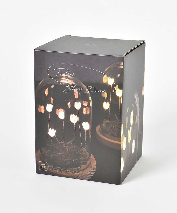 【WEB限定】LUMOチューリップガラスドームS