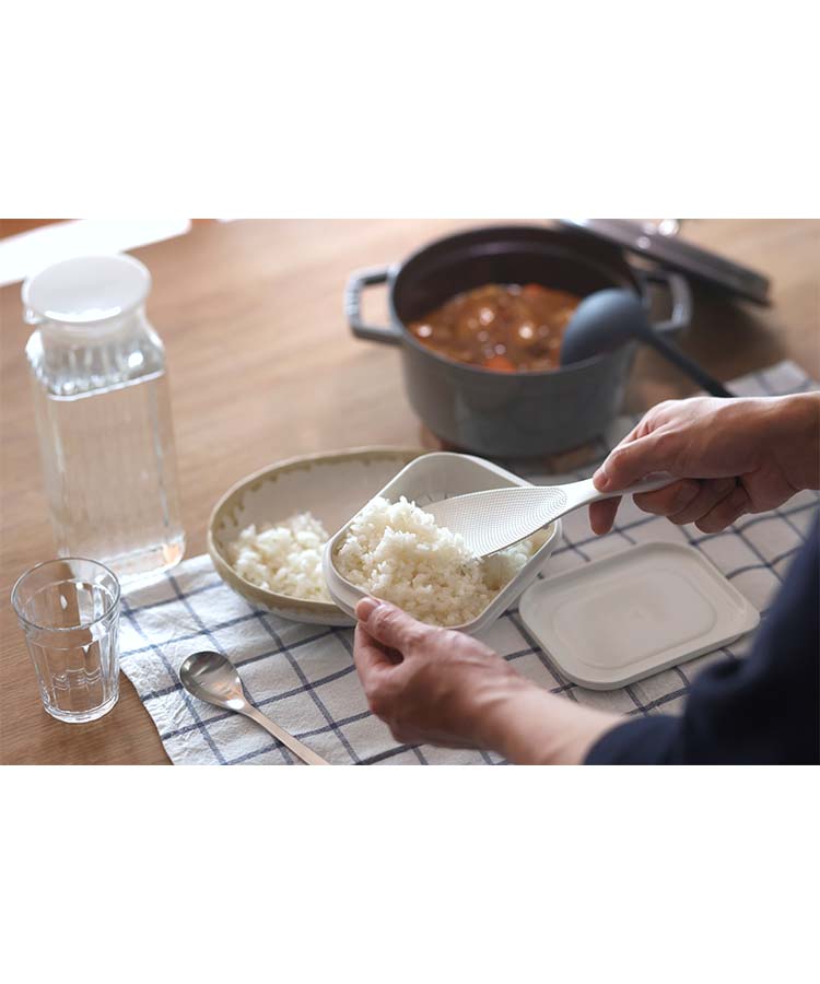 極 冷凍ごはん容器大2個入り