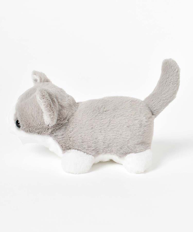 ショートレッグぽちゃ