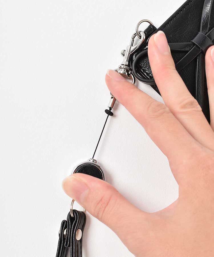 ルリリパスケース