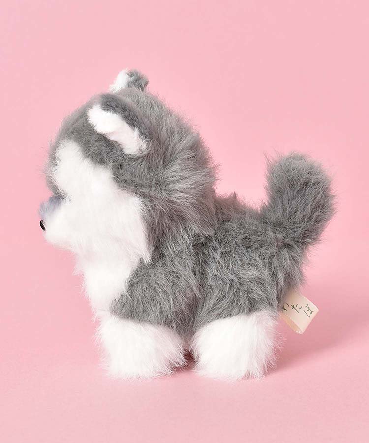 わたぽイヌぬいぐるみ