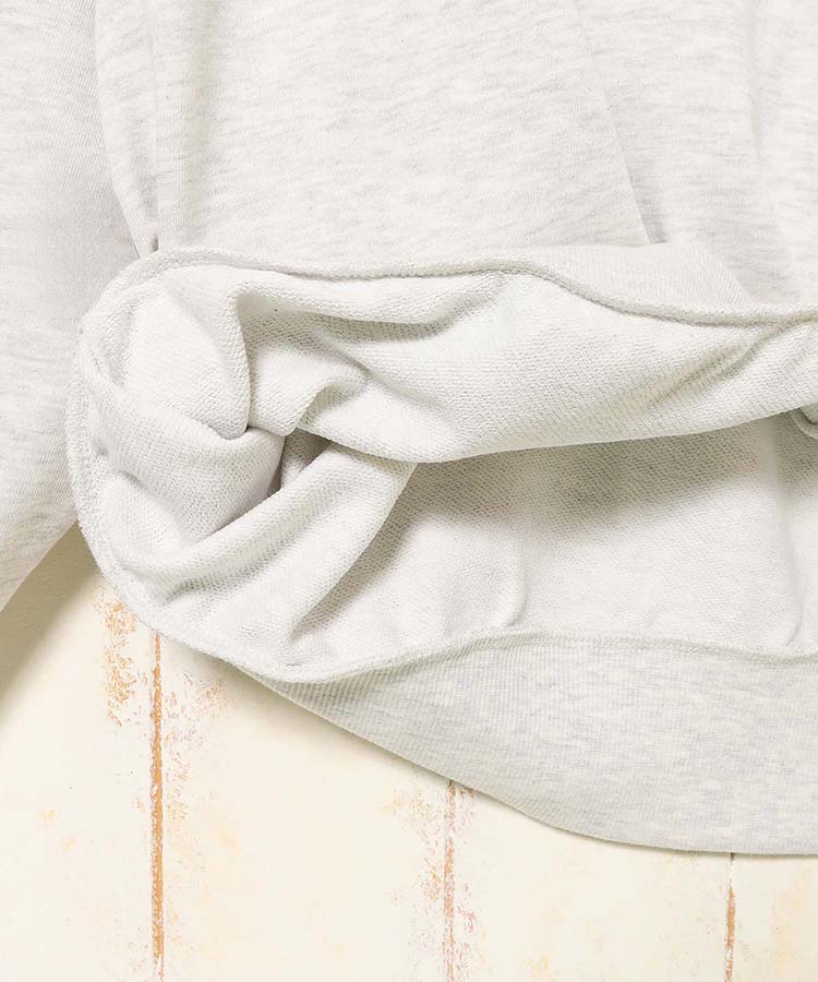 チベタンタイガートレーナー